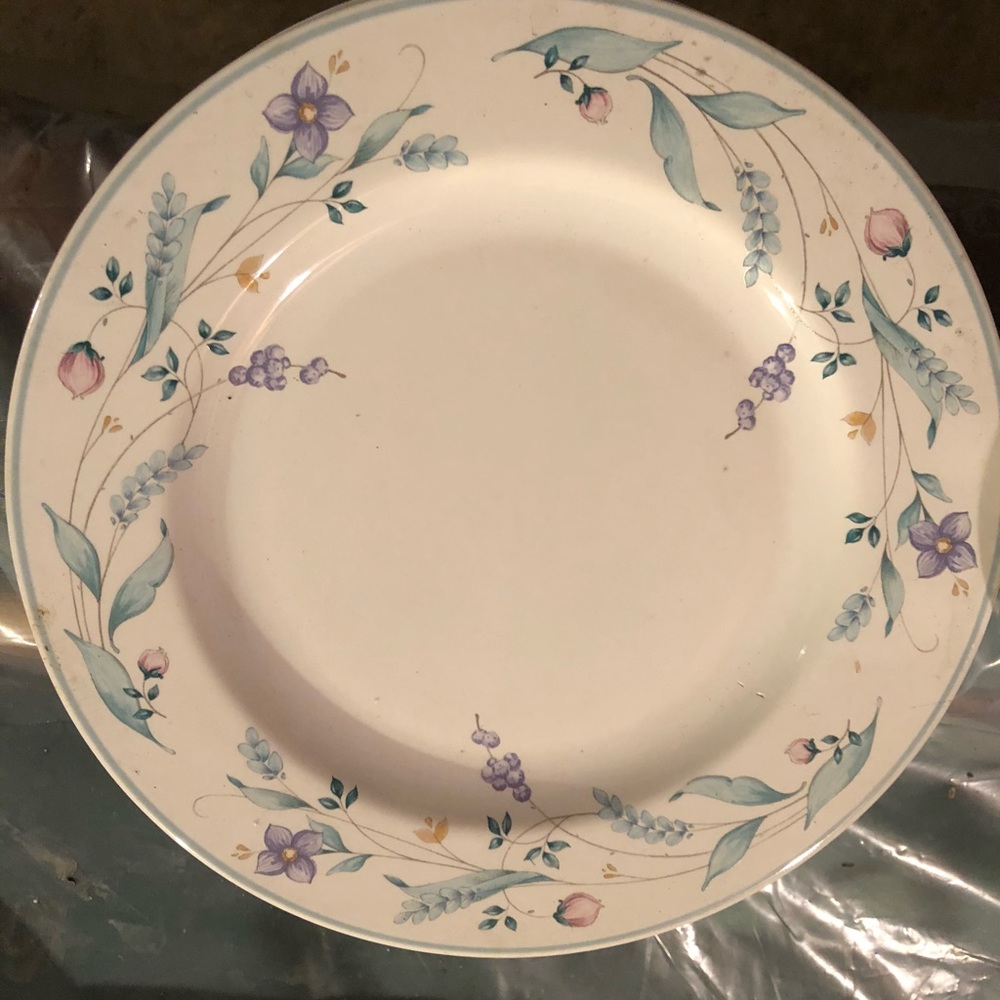 Set of 4 Phaltzgraff dinner plates